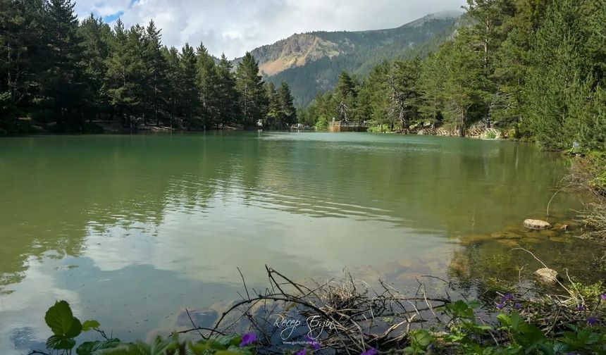 Gümüşhane’nin Doğa Harikası Limni Gölü, Sıcaktan Bunalanların Sığınağı Oldu