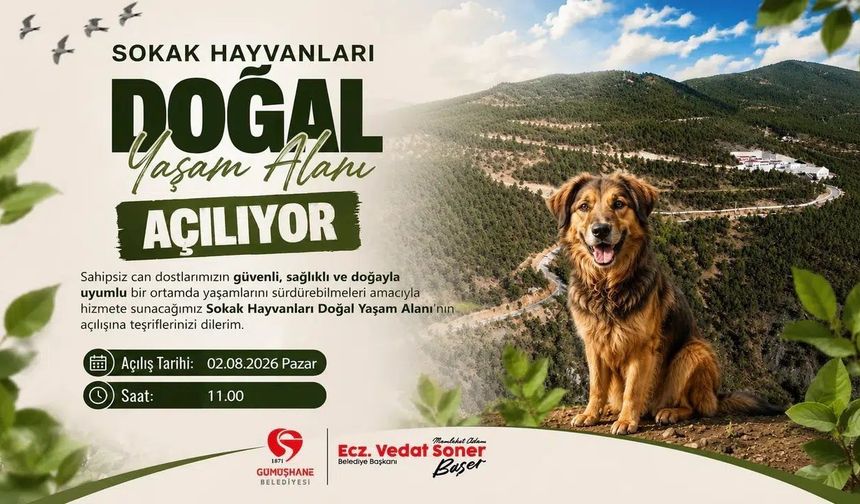 Gümüşhane Belediyesi’nden Can Dostlar İçin Tarihi Yatırım