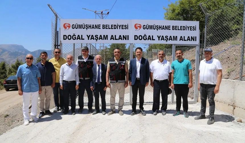 Gümüşhane'de Can Dostlara Dev Kompleks! İşte Yeni Yaşam Alanı