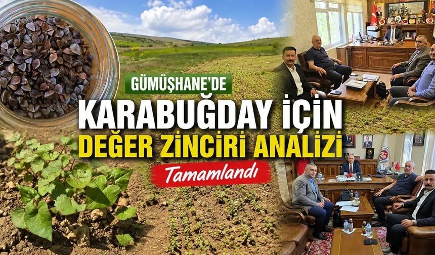 Gümüşhane'de Karabuğday İçin Katma Değer Zinciri Analizi ve Yatırım Haritası Tamamlandı