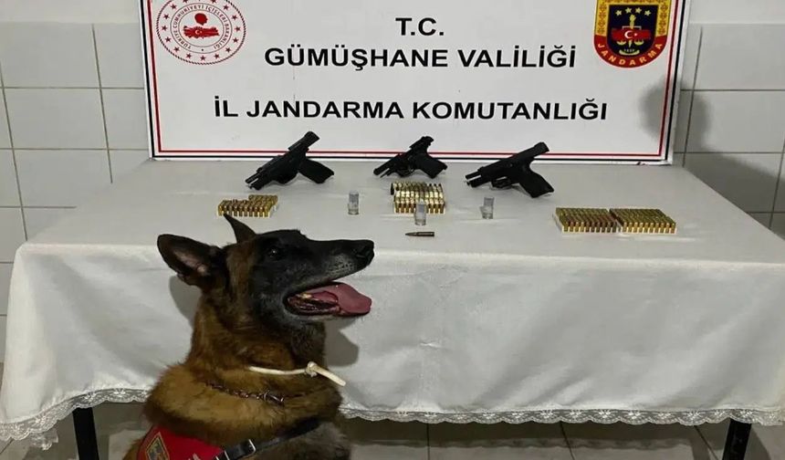 Pekün Dağı’nda Konvoyda Ateş Açan Şüpheliler Yakalandı