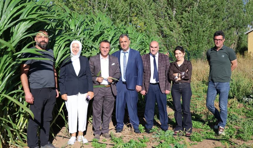 Gümüşhane Üniversitesi Bilimsel Birikimini Yerel Üreticiyle Buluşturuyor