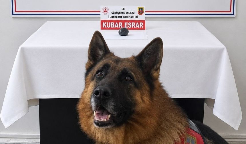 Gümüşhane İl Jandarma Komutanlığı’ndan İkisu Köyü Mevkiinde Narkotik Uygulaması