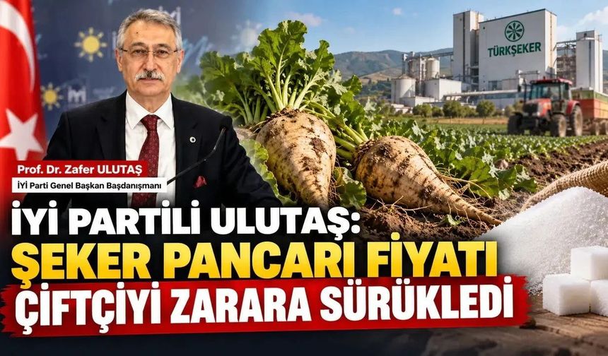 Prof. Dr. Zafer Ulutaş: "Şeker Pancarı Alım Fiyatı Çiftçiyi Zarara Sürükledi"