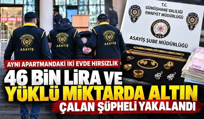 Aynı Apartmanda İki Ev Soyuldu: Gümüşhane Polisi Hırsızı Aracında Yakaladı