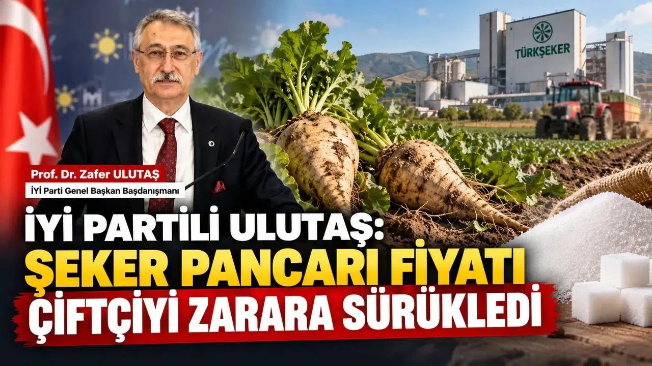 Prof. Dr. Zafer Ulutaş: "Şeker Pancarı Alım Fiyatı Çiftçiyi Zarara Sürükledi"